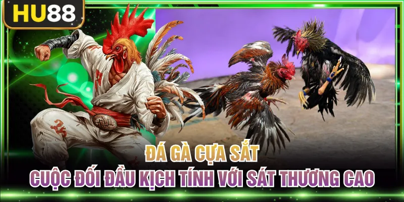 Đá Gà HU88 Cập Nhật Các Trận Đấu Kịch Tính Sôi Động Mỗi Ngày
