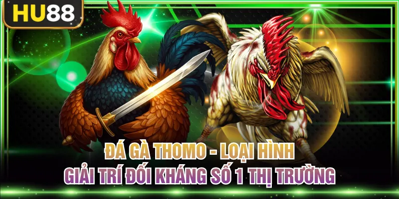 Đá Gà HU88 Cập Nhật Các Trận Đấu Kịch Tính Sôi Động Mỗi Ngày
