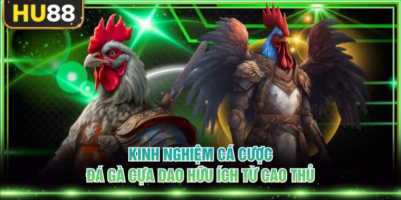 Luật Chơi Đá Gà Cựa Dao Và Kinh Nghiệm Chọn Chiến Kê Chuẩn