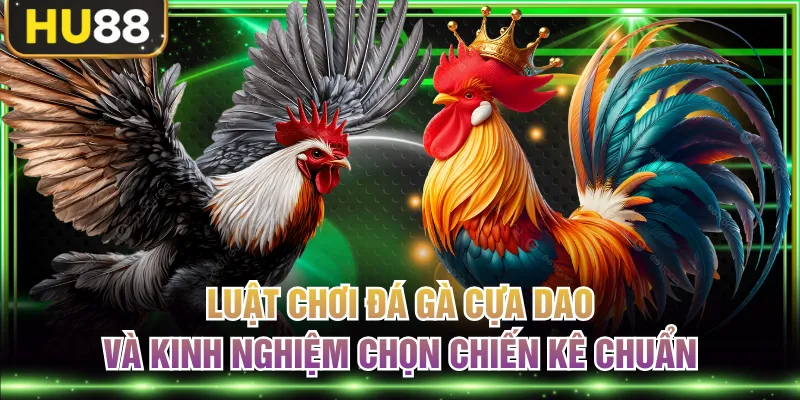 Đá Gà HU88 Cập Nhật Các Trận Đấu Kịch Tính Sôi Động Mỗi Ngày