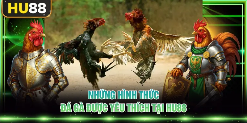 Đá Gà HU88 Cập Nhật Các Trận Đấu Kịch Tính Sôi Động Mỗi Ngày