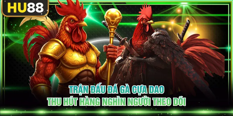 Luật Chơi Đá Gà Cựa Dao Và Kinh Nghiệm Chọn Chiến Kê Chuẩn